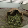 haileysanders26